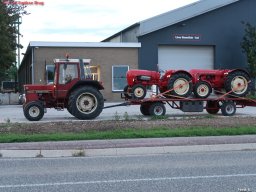 ws 115